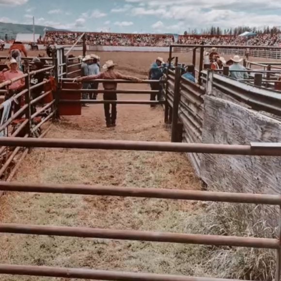 Meet your Posher, GG - Picture 11 of 11